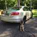 Profile Picture of Steve Tropkoff (@stevetropkoff) on Pinterest