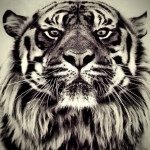 Profile Picture of Michael Lencioni (@diary_of_a_new_homeowner) on Instagram
