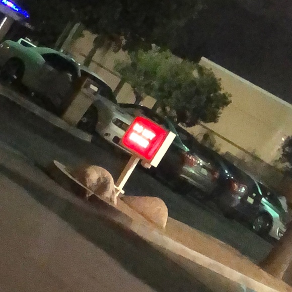 Profile Picture of Jimmy Salas (@salasjim99) on Poshmark