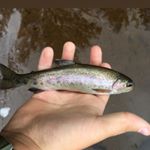 Profile Picture of Quinn Stevenson (@quinn2_stevenson2) on Instagram