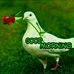 Profile Picture of Ian Gresham (@ian.gresham.106) on Facebook