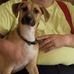 Profile Picture of Howard Barber (@howard.barber.357) on Facebook