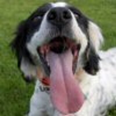 Profile Picture of Matt Kessinger (@MattK_77) on Twitter