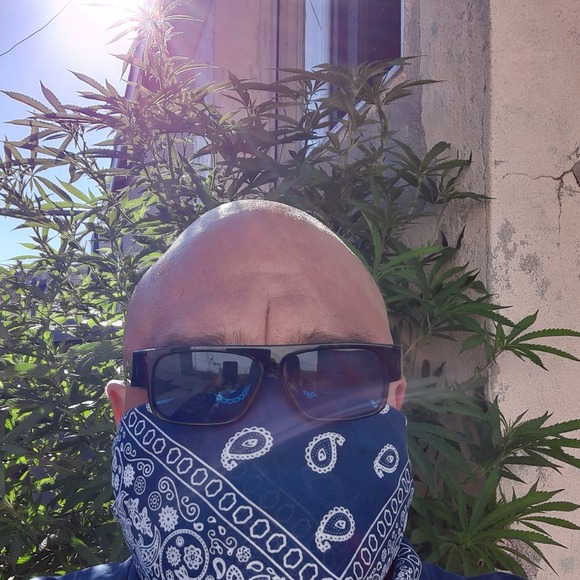 Profile Picture of Jorge Tolano (@jorgetolano) on Poshmark