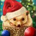 Profile Picture of Teressa Byrd (Teressa Yates Byrd) (@teressa.byrd) on Facebook