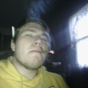 Profile Picture of Josh Driscoll (@bigdrisc) on Twitter