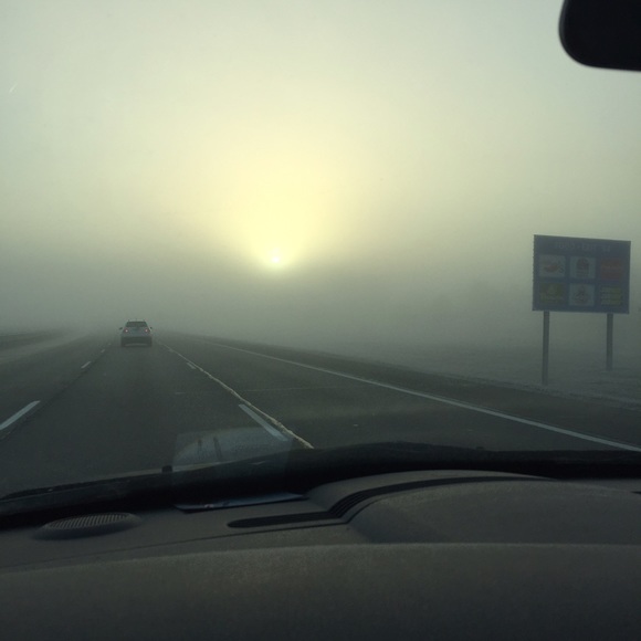 Profile Picture of Devin Wiederhold (@dwiederhold15) on Poshmark