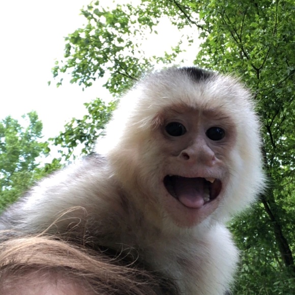 Profile Picture of Sherri Jack (@sherrilj74) on Poshmark