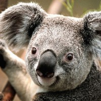 Profile Picture of Lizeth Sanchez (@lizeth-sanchez-33) on Quora