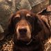 Profile Picture of Chris Sackett (@chris.sackett.94) on Facebook