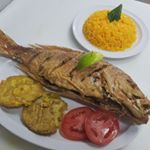 Profile Picture of Jose Antonio Palau (@joseantoniopalau) on Instagram