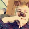 Profile Picture of Kyle Coddington (@@kylecoddington7) on Tiktok