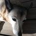 Profile Picture of Heather McGillivray (@heather.mcgillivray.54) on Facebook