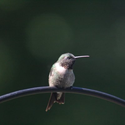 Profile Picture of Renee Sands (@reneesandswrite) on Twitter