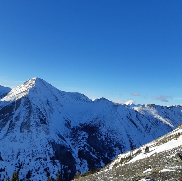 Rahne Slingerland - Poshmark Profile Picture of Rahne Slingerland (@hondachick03) on Poshmark