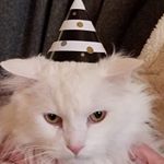 Profile Picture of Jayda Giese (@jayda_giese) on Instagram