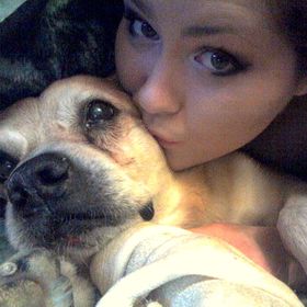 Profile Picture of Amber Teixeira (@amberteixeira) on Pinterest