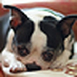 Profile Picture of Libby Scott (@Libby Scott) on Flickr