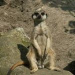 Profile Picture of Adam Zaremba (@a.zaremba) on Instagram