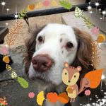 Alan Hoskins - Instagram Profile Picture of Alan Hoskins (@alan.hoskins.988) on Instagram