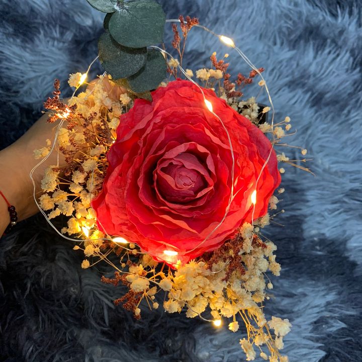 Profile Picture of Rose (@pollycurl) on Tiktok