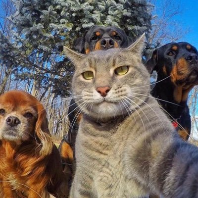 Profile Picture of Jon Stine (@jonstine) on Twitter