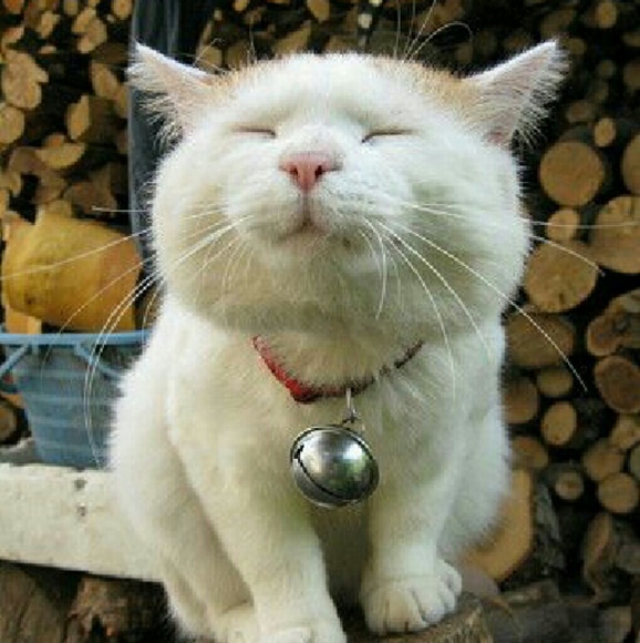 Profile Picture of Lily Sirk (@lily42700) on Poshmark