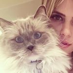 Profile Picture of Francis, Arwen and William (@francisthekat) on Instagram