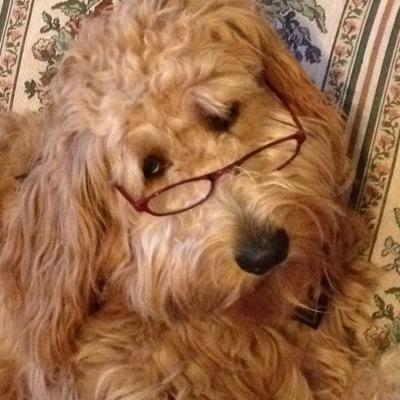 Profile Picture of Eric Campfield (@eric_campfield) on Twitter