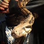 Profile Picture of kenneth Austin nodal (@kennethaustinnodal) on Instagram