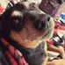 Profile Picture of Lisa Stouffer (@lisa.stouffer.3) on Facebook
