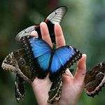 Profile Picture of Abed Faraji (@abed.faraji.af) on Instagram