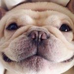 Lynnette Martinez - Instagram Profile Picture of Lynnette Martinez (@lynnnettemartinez) on Instagram