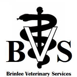 Profile Picture of Jason Brinlee (@Jason-Brinlee) on Facebook