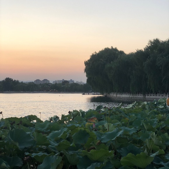 Profile Picture of C Chan (@mere605) on Poshmark