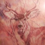 Profile Picture of Travis Dorrill (@dorrilltravis) on Instagram