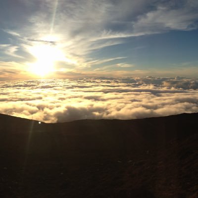 Profile Picture of Joe Nieman (@JoeNieman1) on Twitter