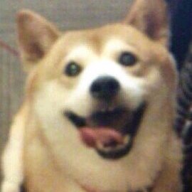 Profile Picture of Hayashi Yukiko 林由紀子 (@yukiko__hayashi) on Twitter