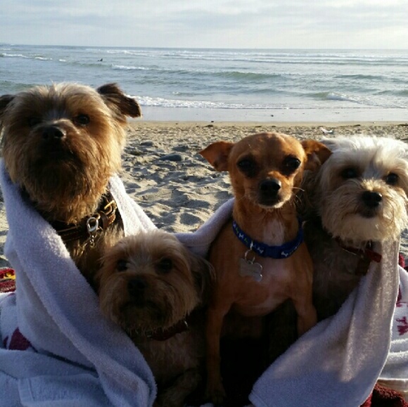 Profile Picture of Justin Jerardo (@couchpotato1104) on Poshmark