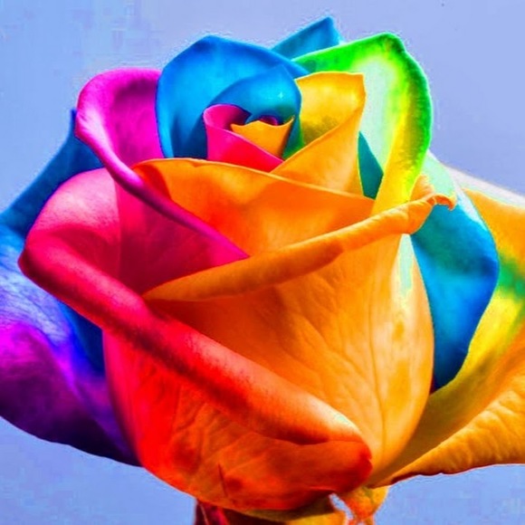 Profile Picture of Crystal Loza (@cloza97) on Poshmark