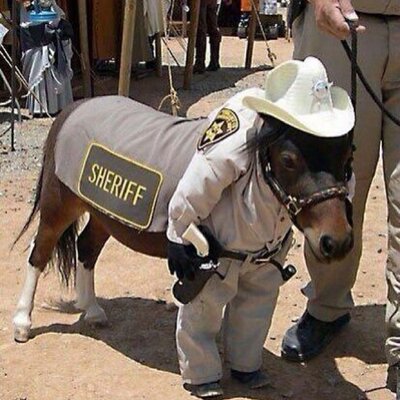 Profile Picture of Rogge (@TheKyleRogge) on Twitter