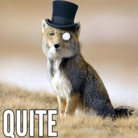 Profile Picture of Jason Reichelt (@jason-reichelt) on Quora