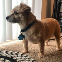 Profile Picture of Chad Behler (@chad-behler) on Quora