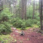 Profile Picture of Joe Kocsis (@gondwana73) on Instagram