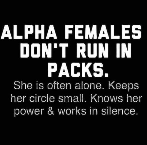 Profile Picture of Sheba Macchop (@shebamacchop) on Poshmark