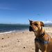 Profile Picture of Joann MacFarlane (@joannmac) on Pinterest