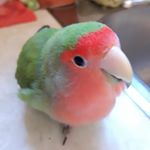 Profile Picture of sonia freire (@freire8806) on Instagram