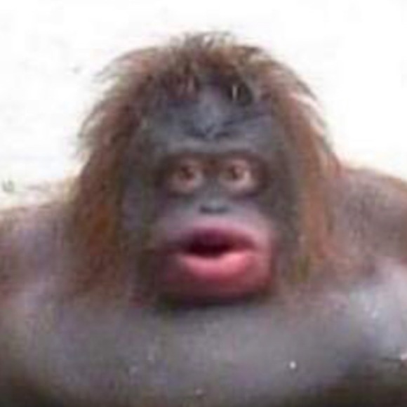 Profile Picture of James Blanford (@honeybadger40) on Poshmark