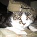 Profile Picture of Napolean D. Holmes (@napolean.d.holmes) on Facebook