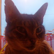 Profile Picture of Lotte Hansen (@lottehansen3208) on Youtube